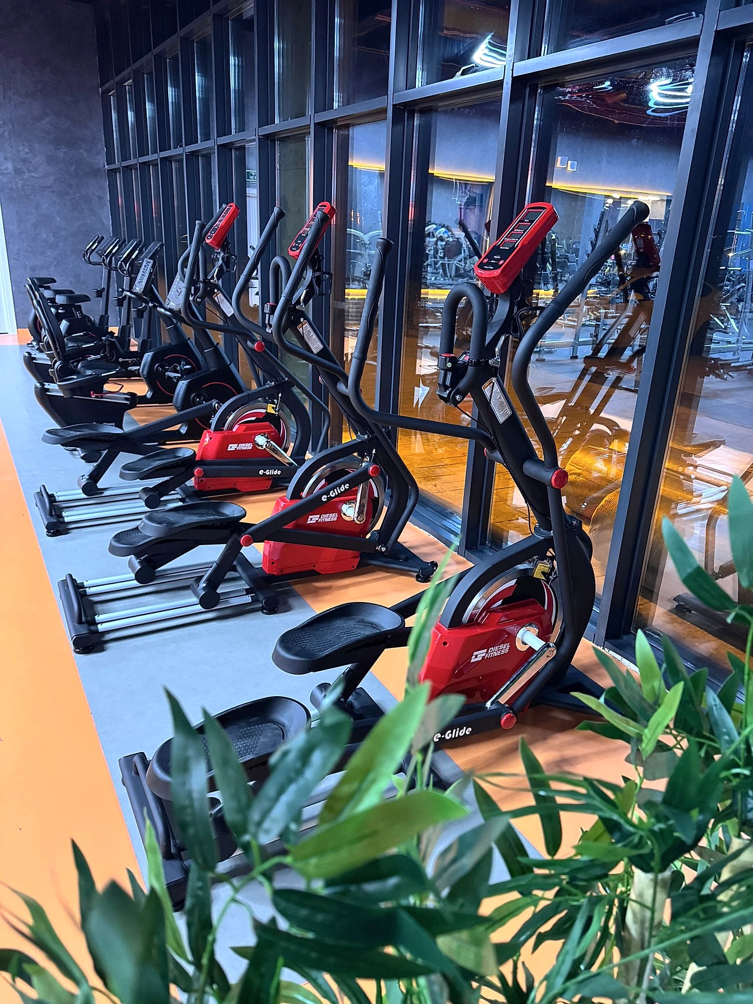 Momentum Fitness - Serbest Ağırlık Bölümü