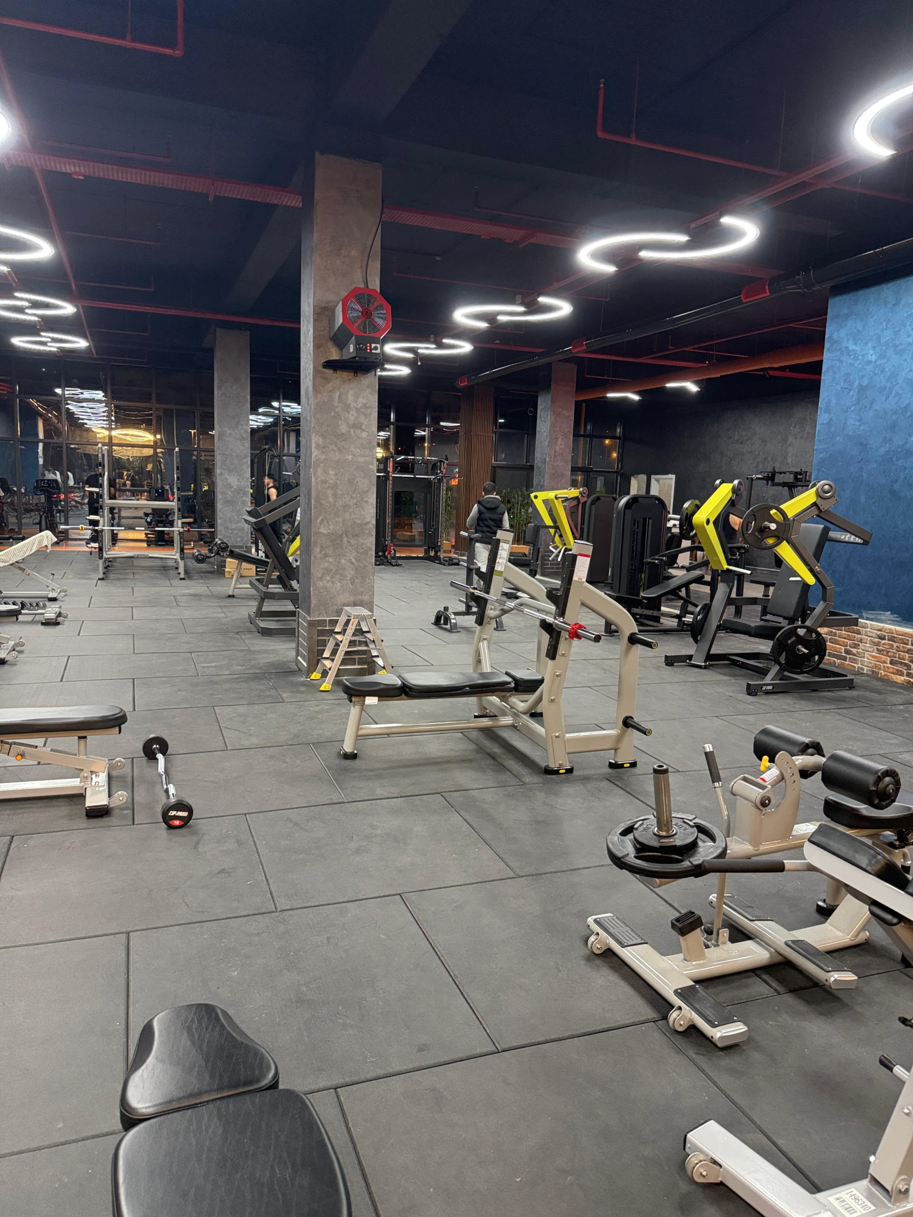 Momentum Premium Gym - Grup Dersleri ve Online Coaching Alanı
