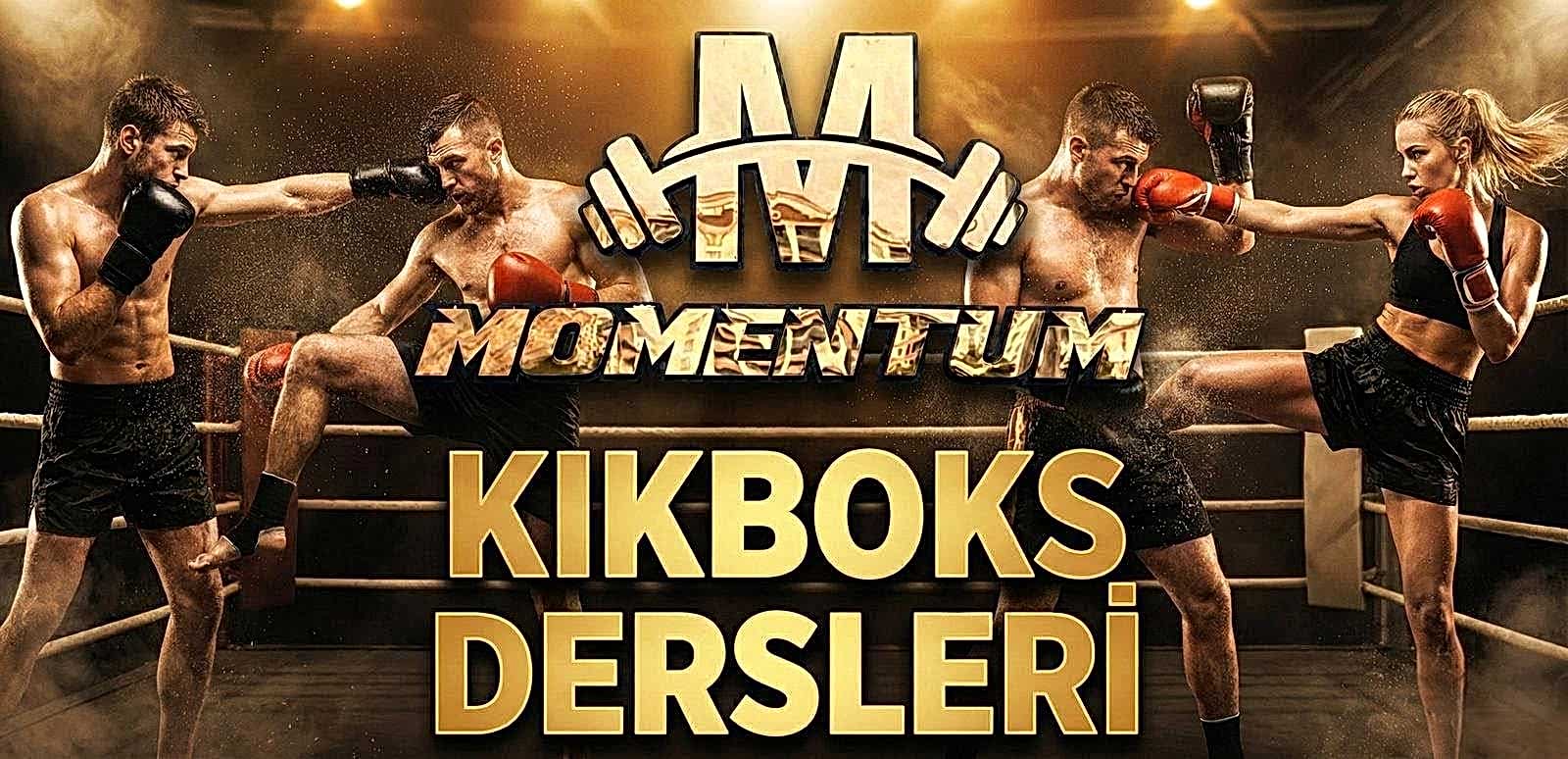 Kickboks Teknikleri